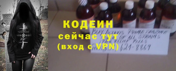 крисы Бородино