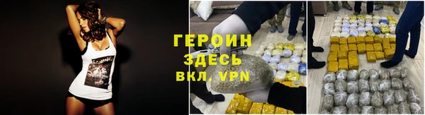 крисы Бородино