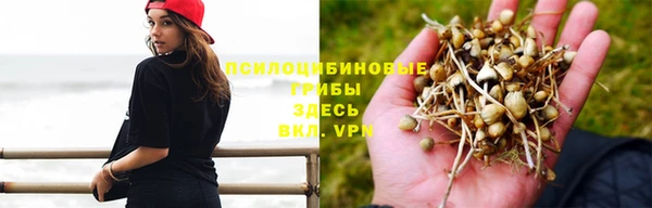 каннабис Беломорск