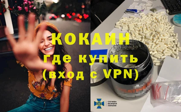 крисы Бородино