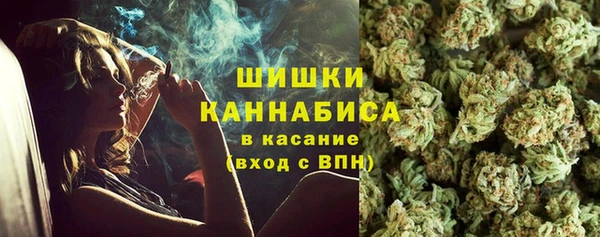 ГАЛЛЮЦИНОГЕННЫЕ ГРИБЫ Белокуриха