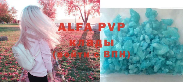 крисы Бородино