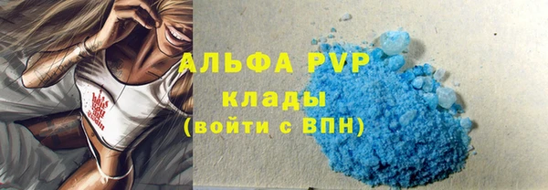 крисы Бородино