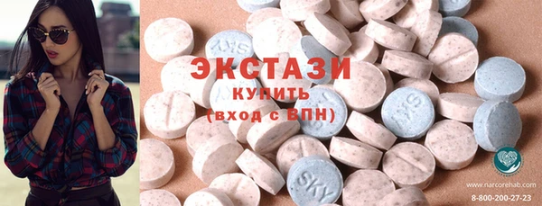 крисы Бородино