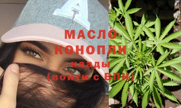 крисы Бородино