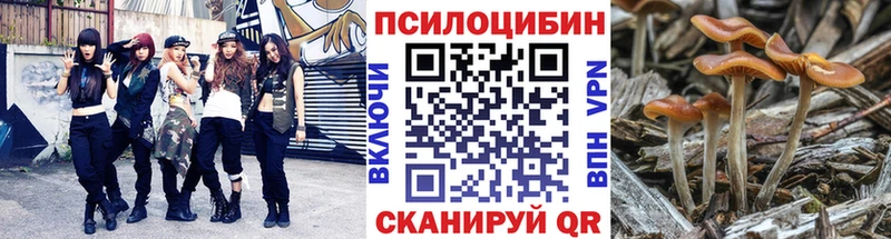 Псилоцибиновые грибы Psilocybine cubensis  Купить где  Нарьян-Мар 